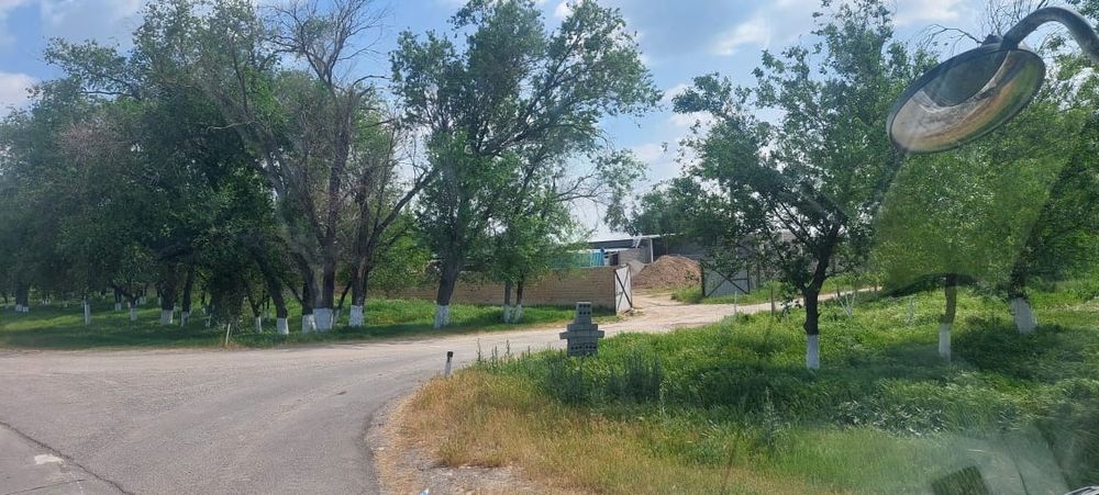 Дайын бизнес Шымкент