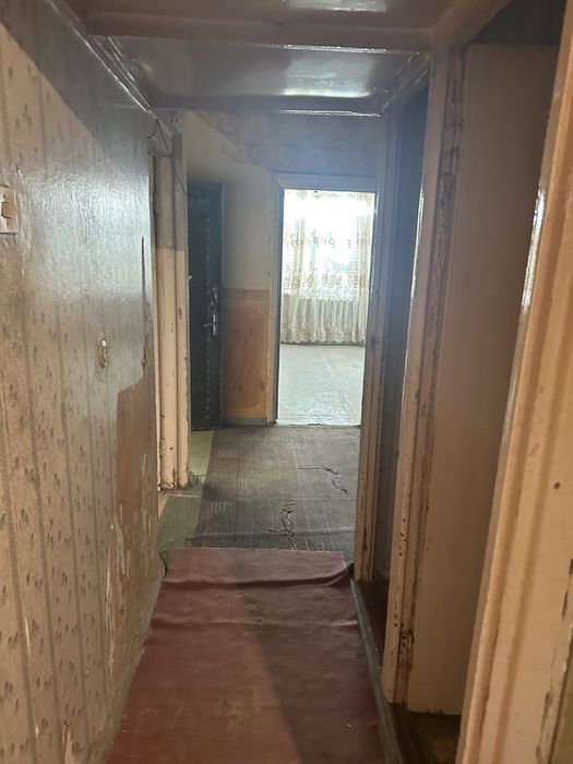 Qora qamish 2/1. da 2/2/4