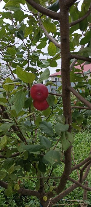 Продается дом в районе ГРП