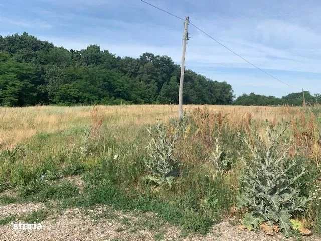 Propr inchiriez 27.000 mp teren la padure langa Bucurest 1000 eur/luna