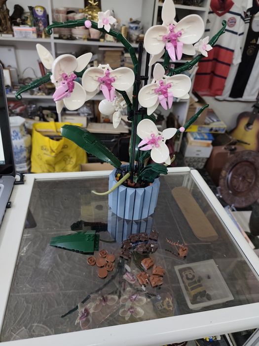 Лего 10311/10280/10281 Lego Botanicals