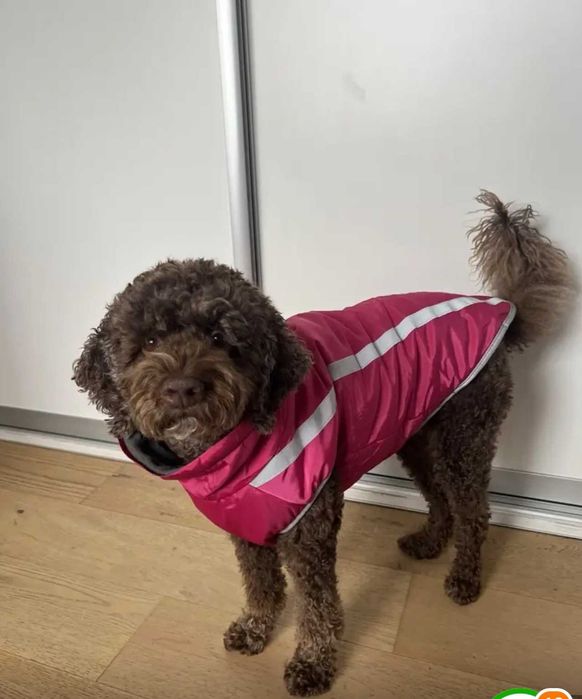 Дъждобран/грейка за малка порода куче