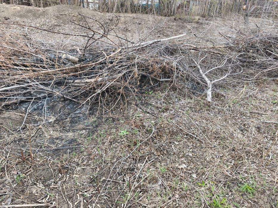 Отдам даром разные дрова и доски