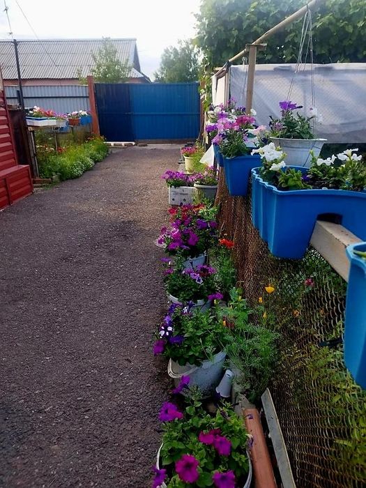 Продам дом-особняк