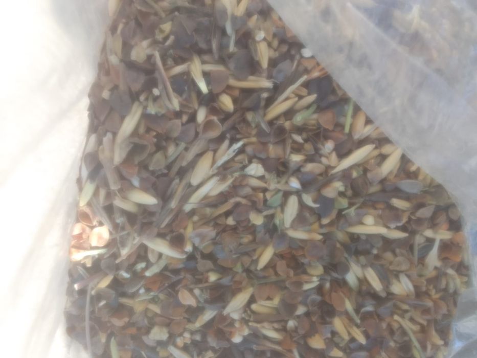 Зерноотходы Отруби Полова Овёс