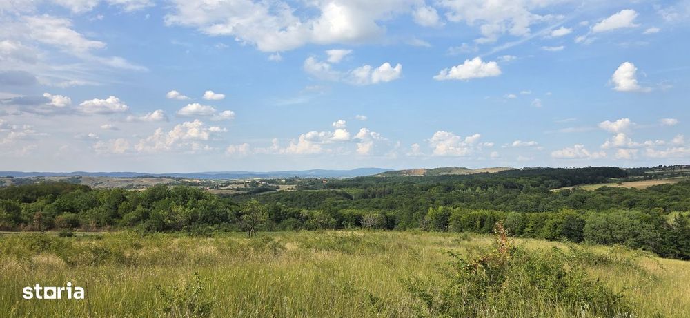 Teren Extravilan 9.528mp/ Vârciorog -Bihor / 30 km de Oradea