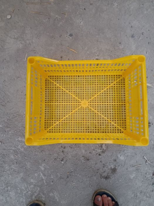 Plastik yashiklar bor