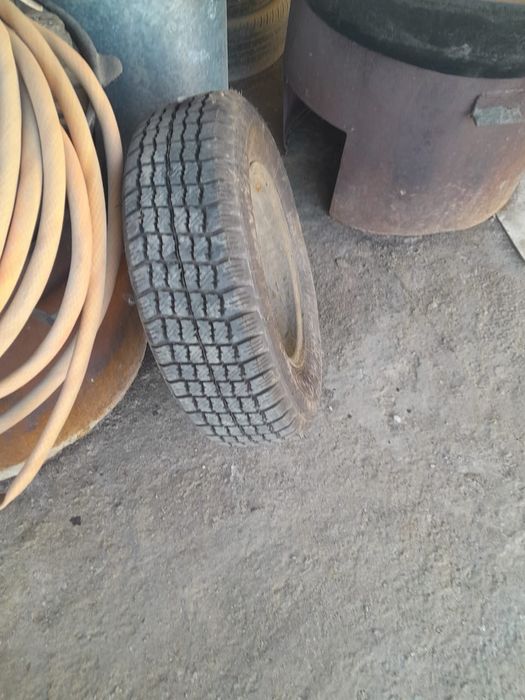 Дөңгелек волганігі