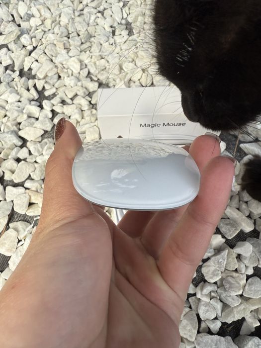 Magic Mouse мышка для Mac book