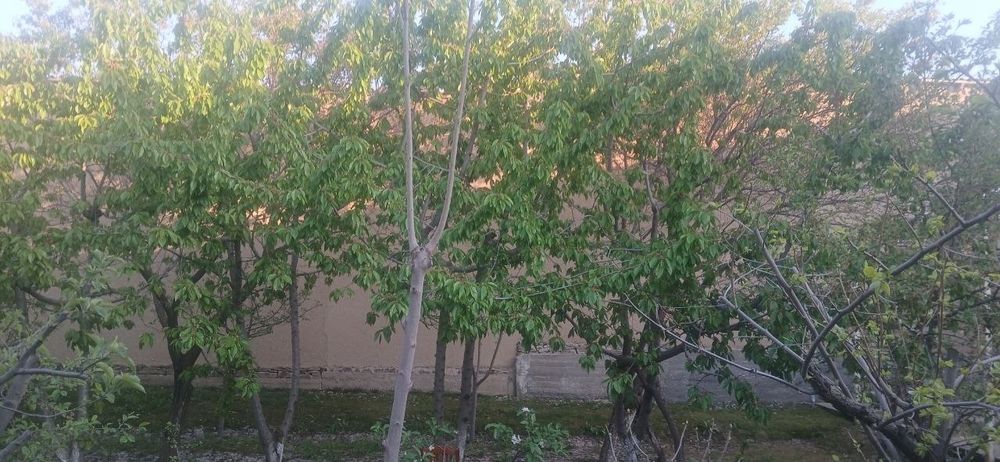 Uy sotiladi Bulungurda