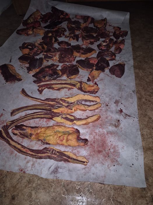 Продам мясо конина