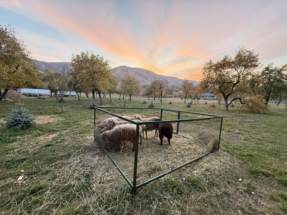 Вольер универсальный, клетка, курятник