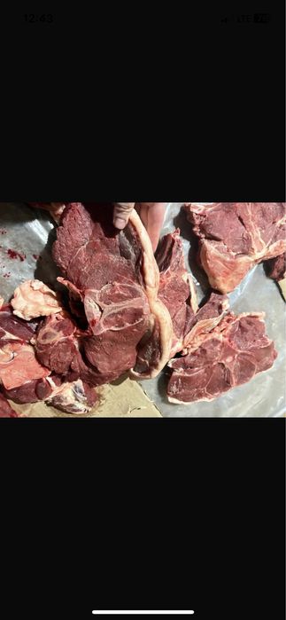 Откорм байтал кунандар