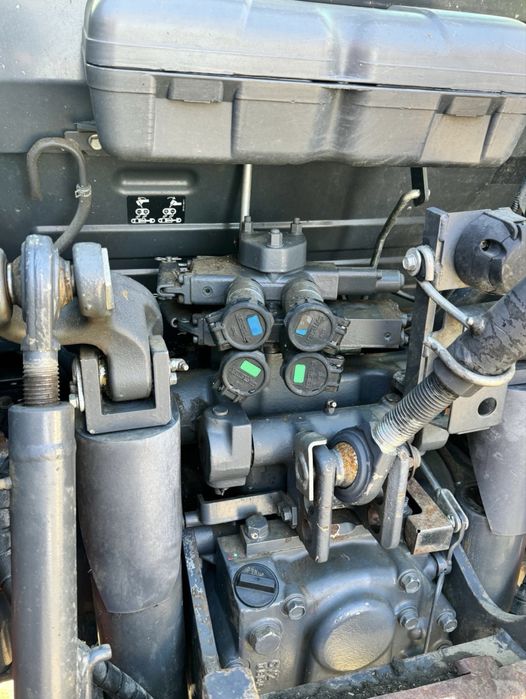 Vand sau schimb cu oi rasa țigaie ruginie / vaci bălțata românească