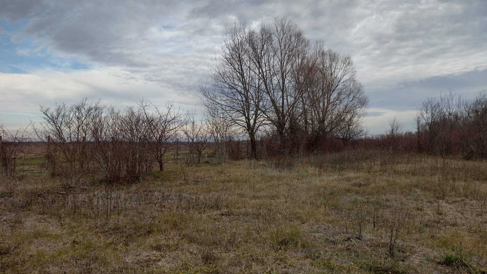 Vând teren Stejaru (Căminele )