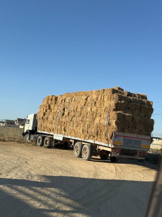 Малға арналған шөп!Доставка Актау каласына тегын