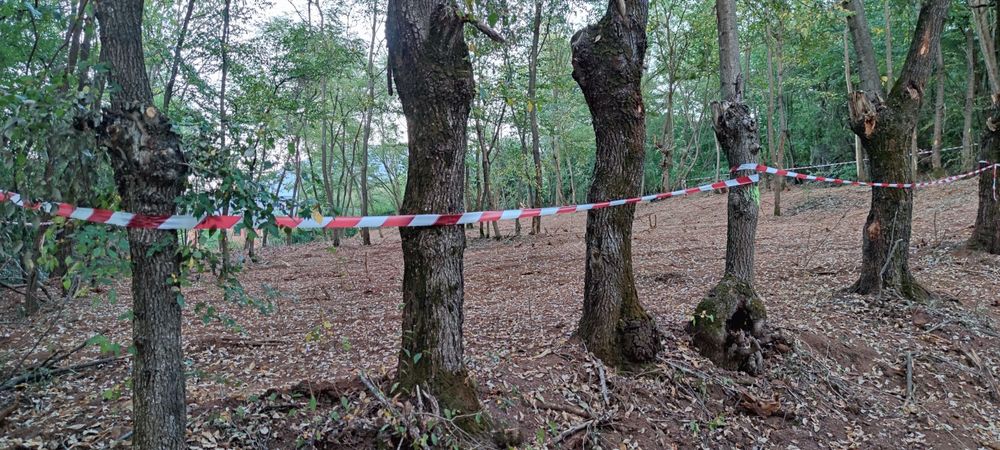 Продава се Парцел в Ботевград - 1293 кв.м за 49 €/кв.м - Снимка #5