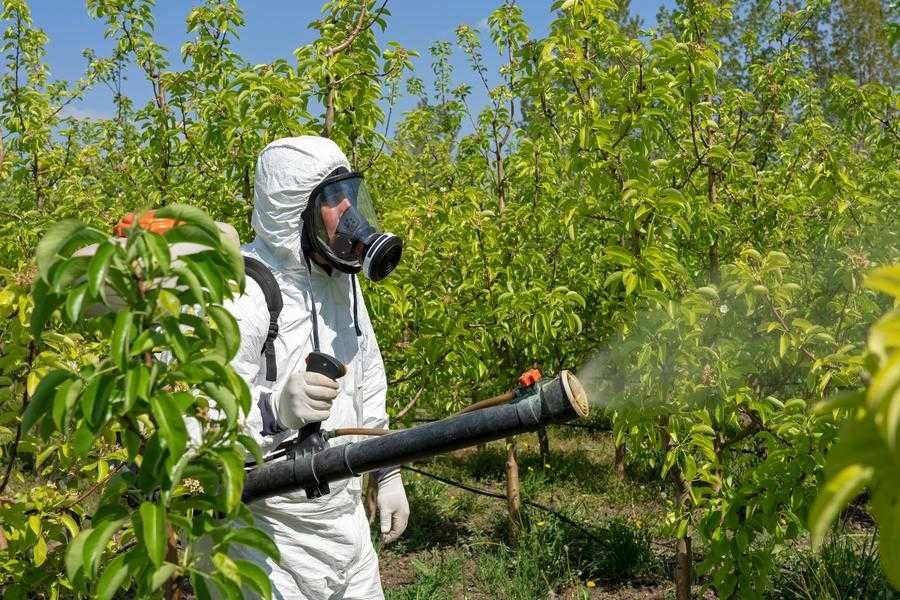 Обработка сельского хозяйства от вредителей, дезинсекция Актобе