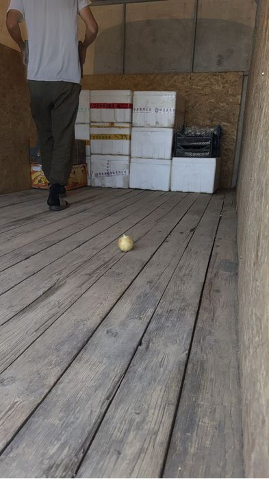 Термобоксы 7 видов есть