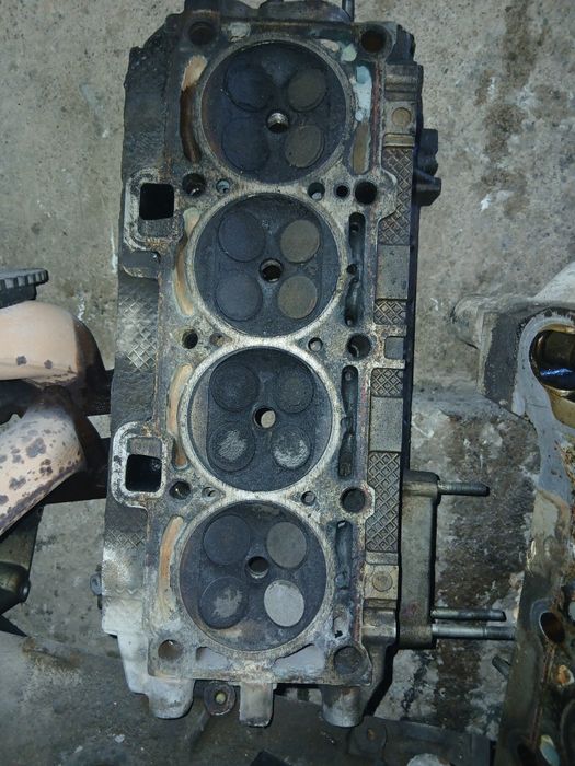 Галовка приора десатка