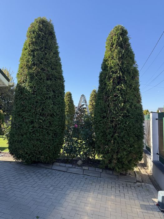 Restaurarea Grădinilor
