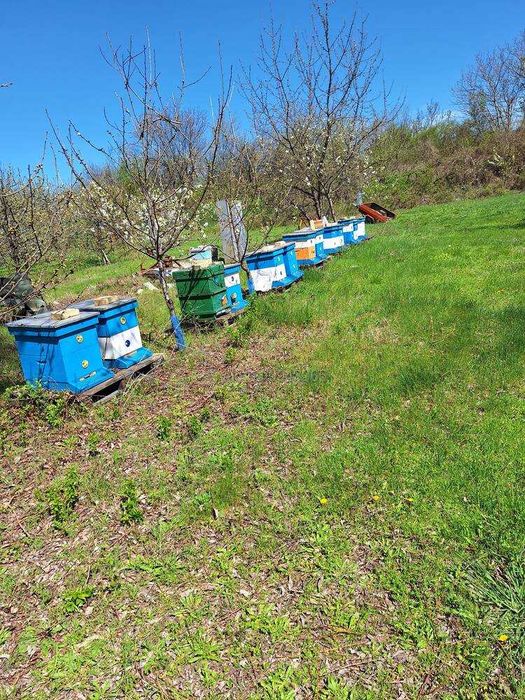 Продава се Земеделски имот в Перущица -  кв.м за 11000 €/дка - Снимка #1