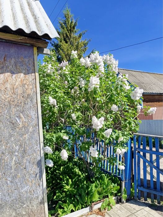 Продам дачу в с/о Гудок