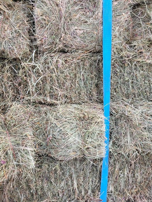 Vand baloti fan  coasa a 2