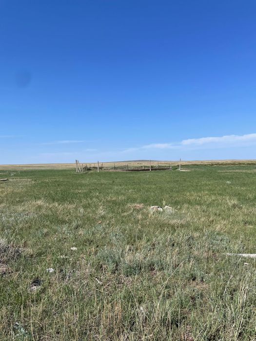 Продам КРС без скота