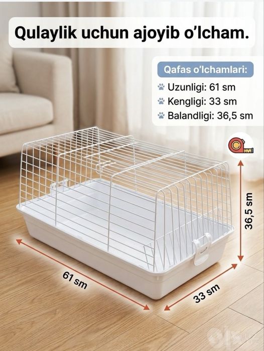Quyon карлик баран