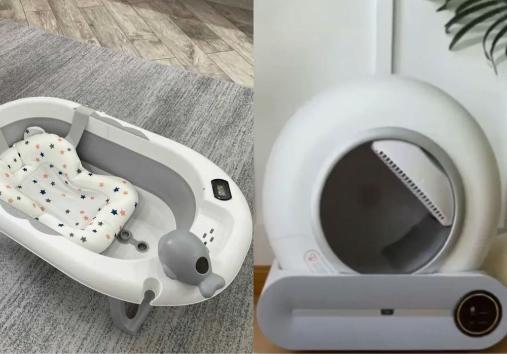 Бенгальский кошка