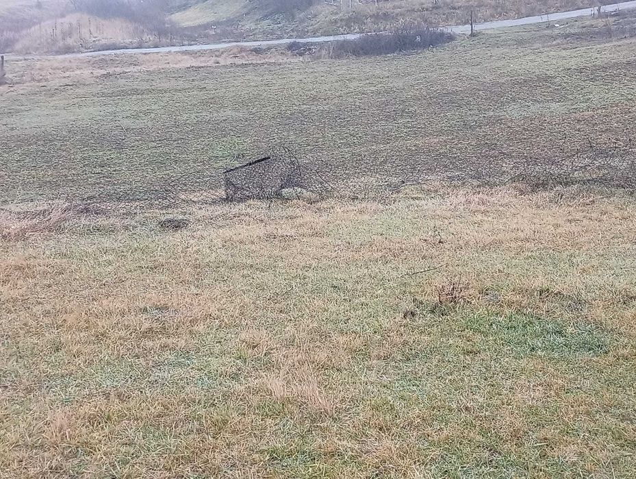 Direct de la proprietar - teren intravilan 820mp Proselnici