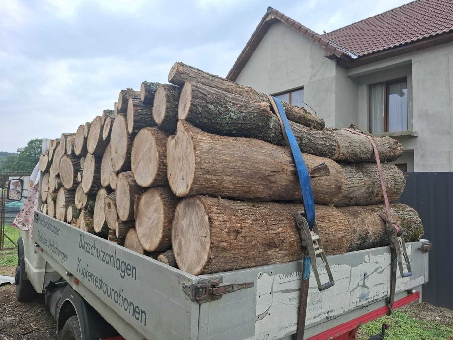 Lemne de foc esență tare