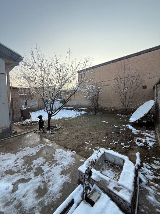 Дродается дом Бектемир