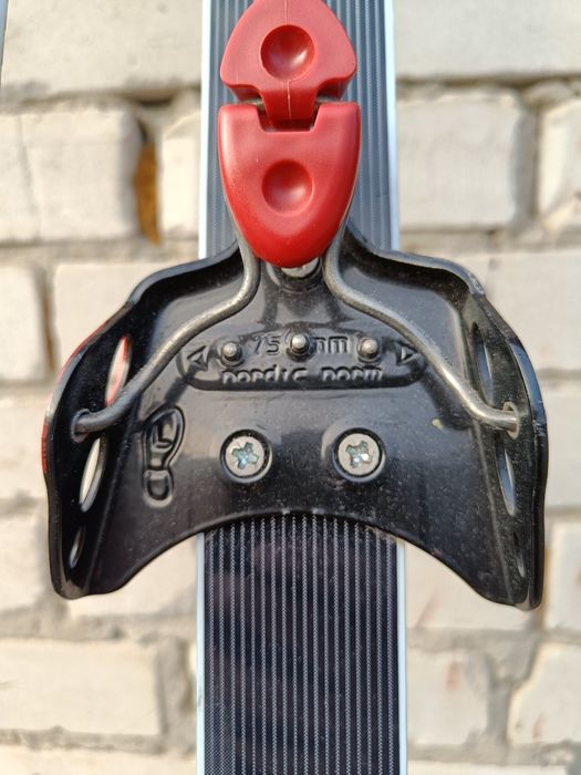 Лыжи беговые Fischer XC.