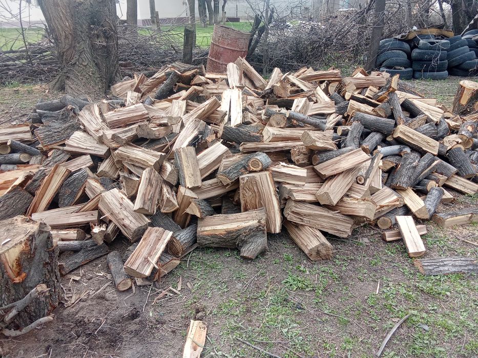 Ағаш сатылады қабы 1000т