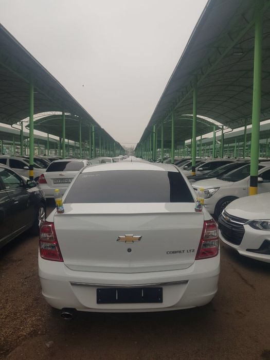 Cobal 2023 navarot sotiladi