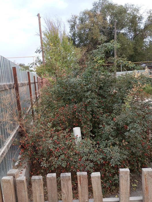 Продам квартиру 3х комнатная