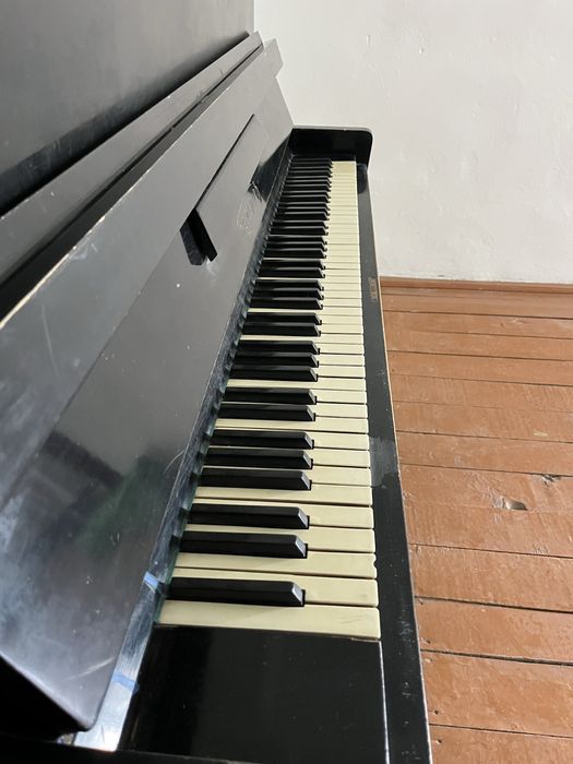 Fortepiano Belorus