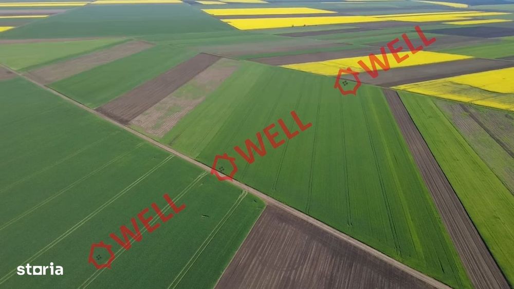5 terenuri agricole de vânzare în Sântionlunca!
