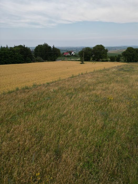 Teren de vânzare – 2.800 mp – între Frumoasa și Liteni