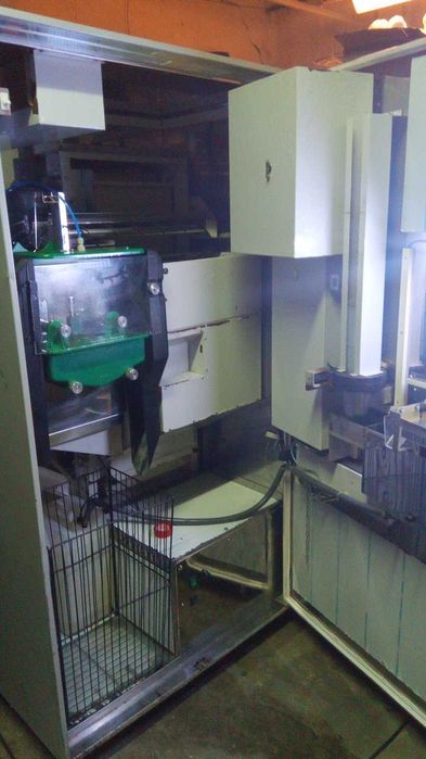 Fresh Portocale Fresh Portocale Zummo10