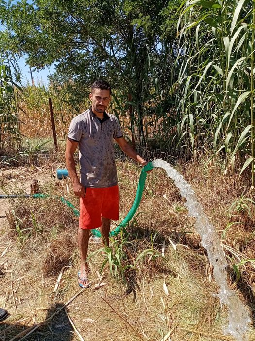 FORAJE PUȚURI TÂNCĂBEȘTI, PERIȘ, Ciolpani, Snagov, Ghermănești.