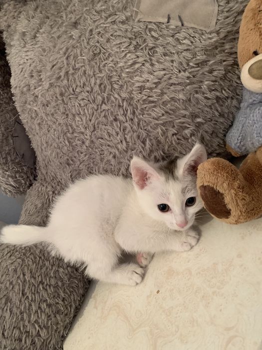 Хорошие руки!