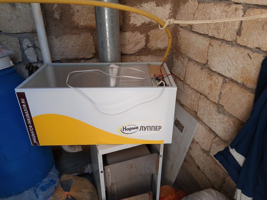 Инкубатор сатылад