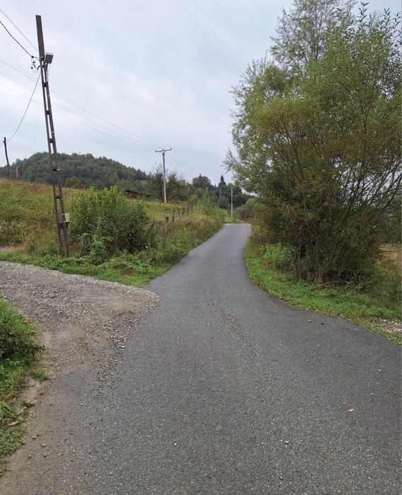 Vand teren intravilan, Valea Neagra, Bistra - Vedere 3