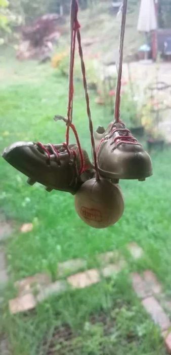 Volan de colecția  Dacia 1300