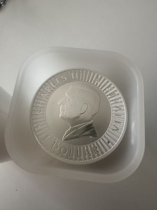 Сребърни монети 1 унция