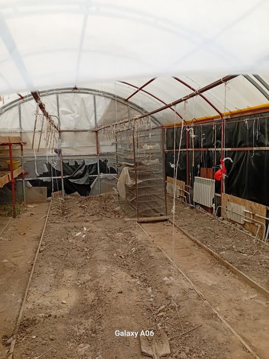 Теплитца  аренда