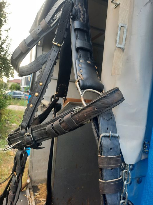 Armăsar, ham nou de Cluj cusut manual pe inox